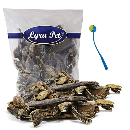 Lyra Pet® 10 kg Rinderpansen 10000 g getrocknet Hundefutter Pansen +Ballschleuder