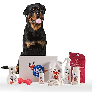 Captain Zack - The Rottweiler Groom Box Ultimate 9-in-1, Head-to-Paw Groom-Kit for Your Dog - (Shampoo +Conditioner +Dry Shampoo +Paw Butter +Treat +Toy) - pH Neutral and Paraben Free