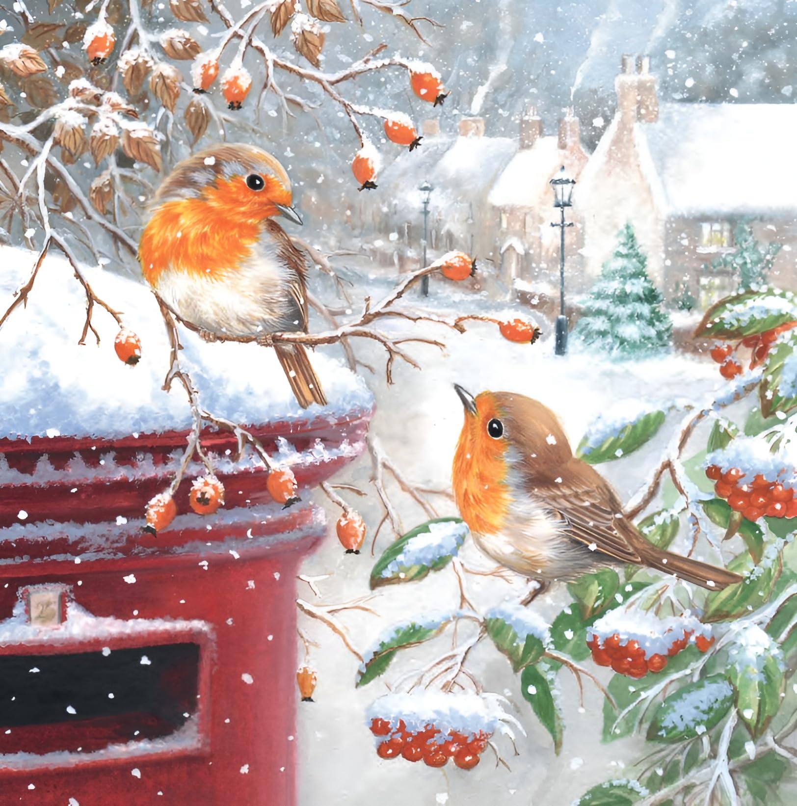 Noel Tatt Charity Christmas Cards Pack of 10 - Assorted Robin Designs by Richard Macneil - 2 x 5 Robins and Post Box Scenes - Festive Christmas Cards Multipack - In Aid of UK Charities