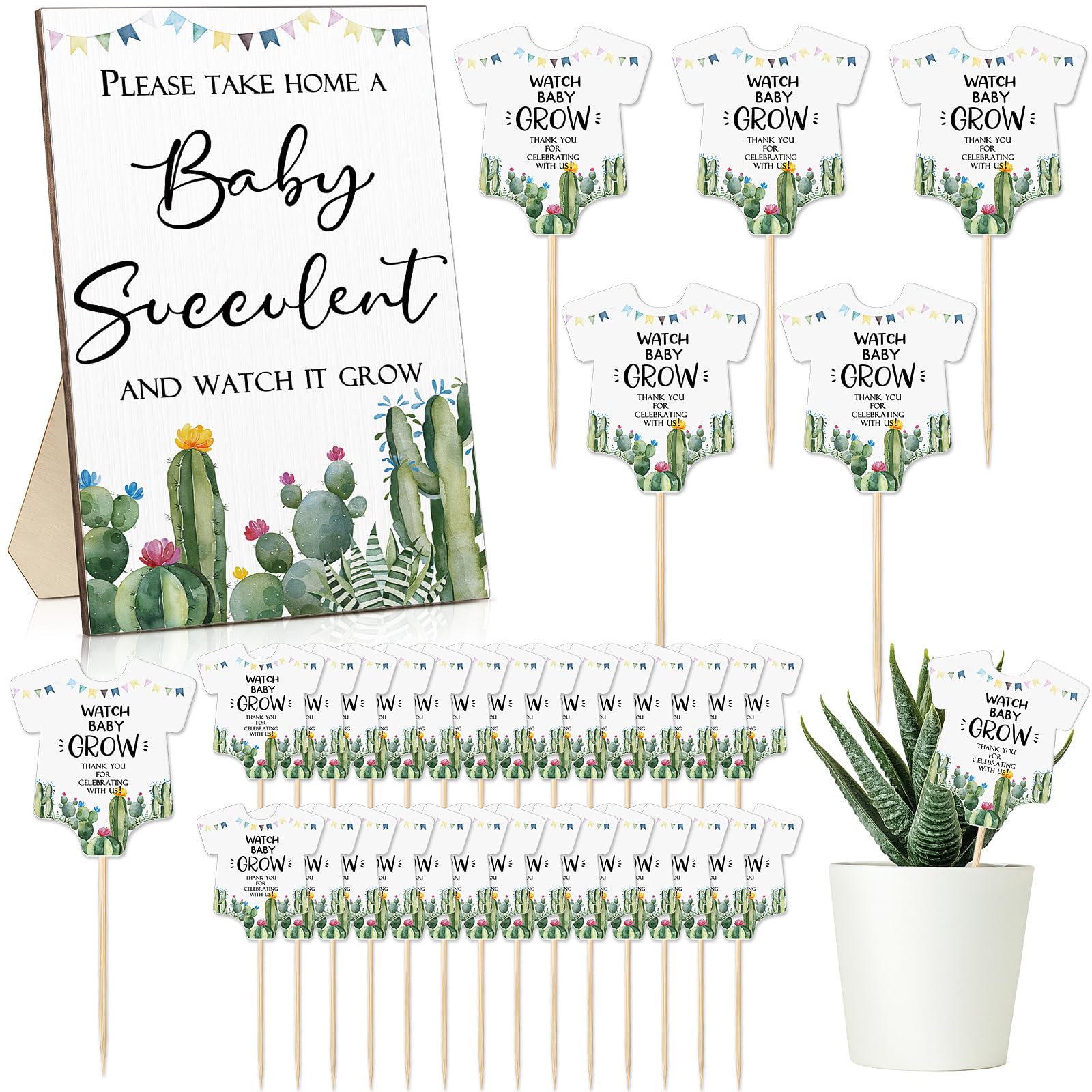 Photo 1 of Newcotte Baby Shower Party Favors Succulent Tags Include 1 Piece Wooden Table Sign 50 Sets Succulent Plant Marker Succulent Favors Baby Shower Decoration(Cactus)