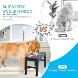 IOKHEIRA Raised Dog Bowls with Stand 4 Height Adjustable 2 Bowls view 3