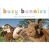 Busy Bunnies
