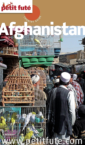 Download Afghanistan 2013 Petit Futé (Country Guide) PDF