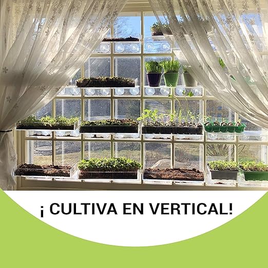 Garden Pocket Bandeja Large Brotes Germinados Bandeja Sustrato de ...