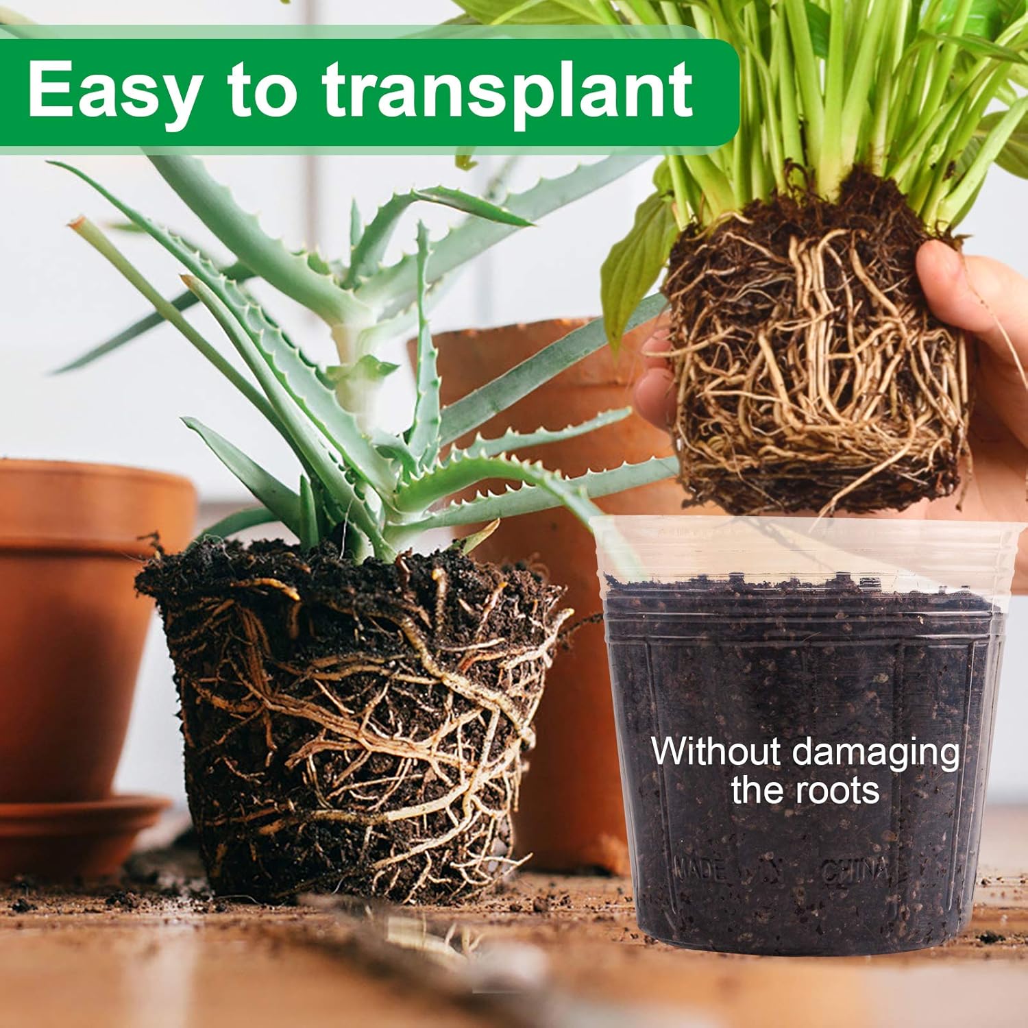 Plant Nursery Pots 6/4/3 Inch 20pcs Labels, Transparent Plastic Planter with Drainage Hole for Indoor Succulent herb Planter ,Seed Starting Pot Flower Plant Container for Seedlings, Cuttings 36 Packs: Kitchen & Dining