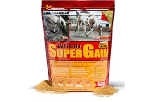 HORSE GUARD Super Weight Gain 10 lb, Equine Vitamin Mineral, Probiotic & Weight Gain Supplement