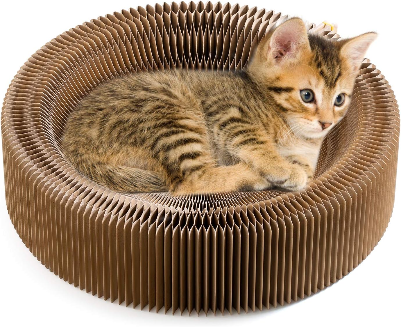 collapsible cat bed
