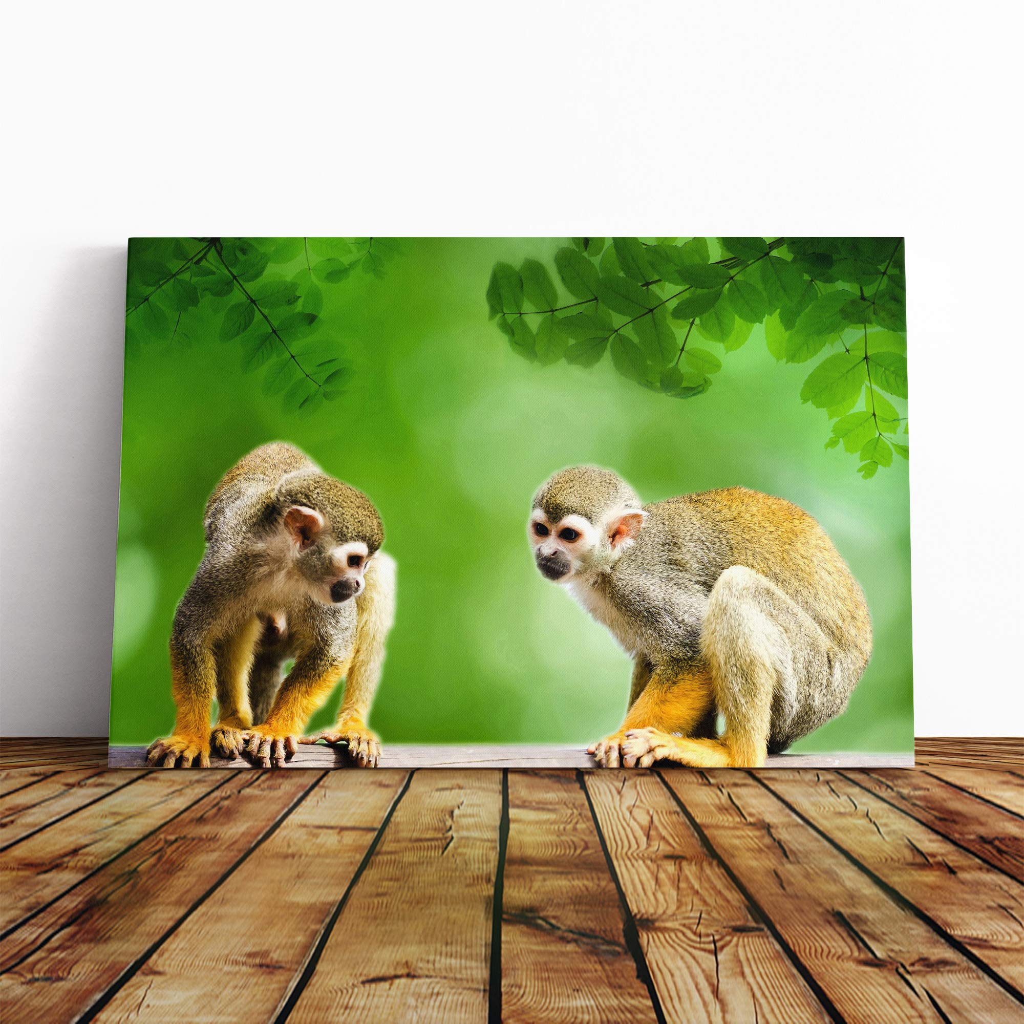 Two Monkeys Canvas Print | Gallery Wrapped 30mm Frame Wall Art | 20x14 inches | Ready to Hang | Modern Animal Picture | Living Room Bedroom Lounge Office