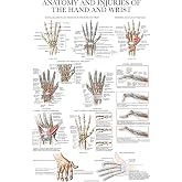 Palace Learning Laminated Anatomy and Injuries of the Hand and Wrist Poster - Hand and Wrist Joint Anatomical Chart - 18" x 24"