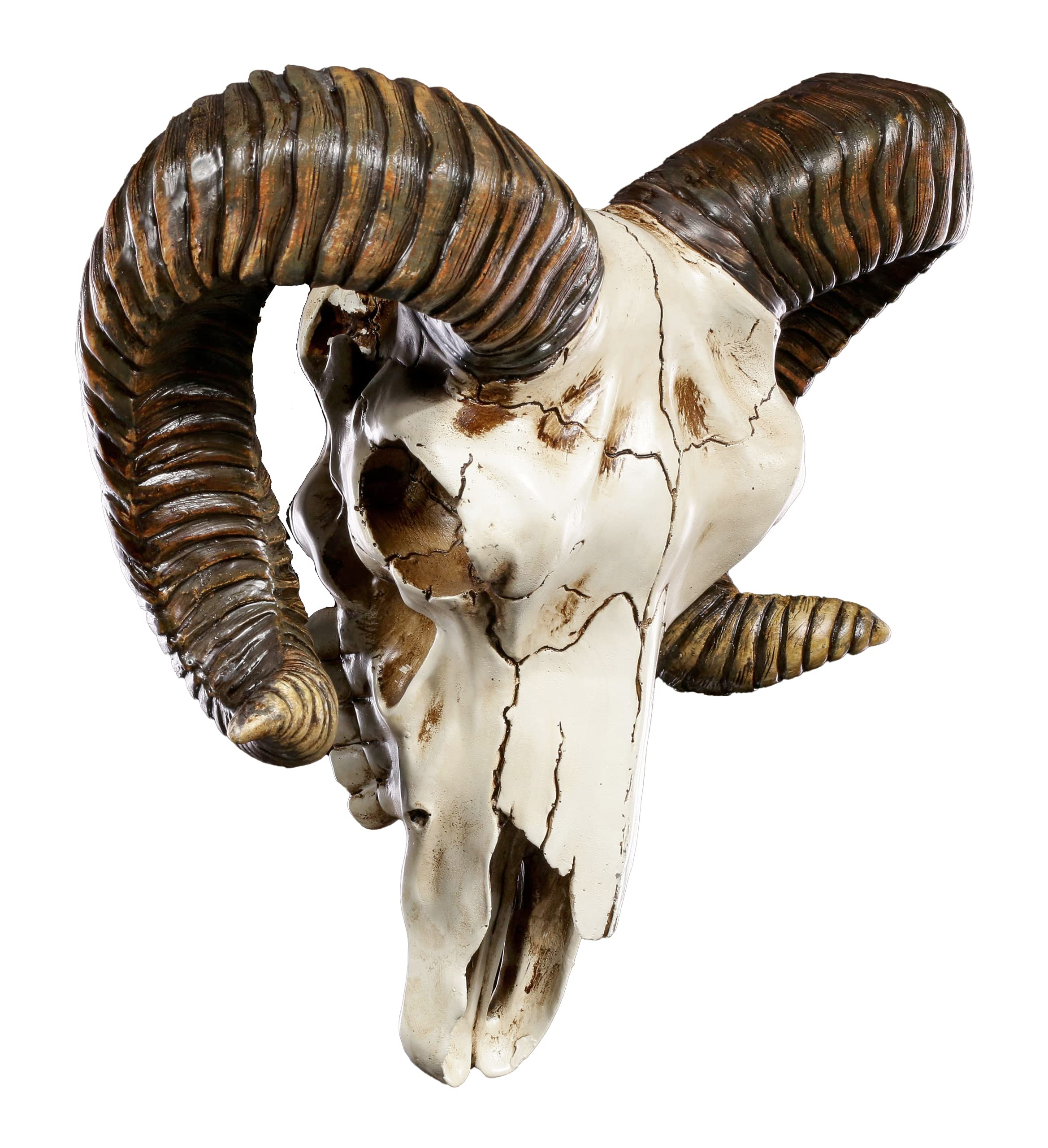 Photo 1 of Pacific Giftware Ram Skull and Horns Baphomet Wall Trophy Decor 11 Inch