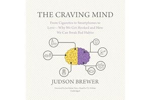 The Craving Mind: From Cigarettes to Smartphones to Love - Why We Get Hooked and How We Can Break Bad Habits