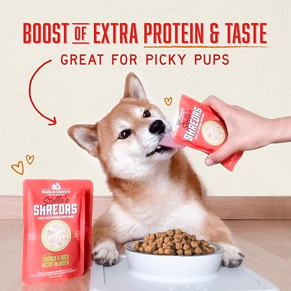 STELLA & CHEWY’S CAGE FREE CHICKEN & SALMON SHREDRS – PREMIUM DOG FOOD POUCHES – FREEZE DRIED RAW NUTRITION IN BROTH – PERFECT FOR PICKY EATERS- 12 PACK, 2.8OZ EACH