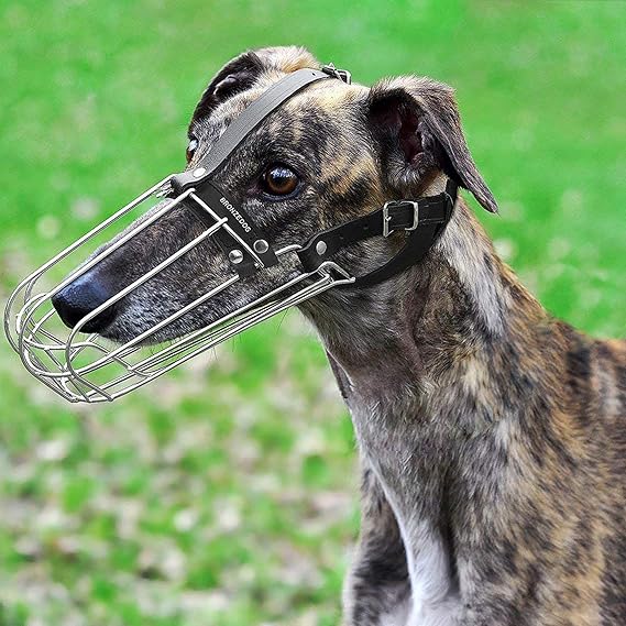 most comfortable greyhound muzzle