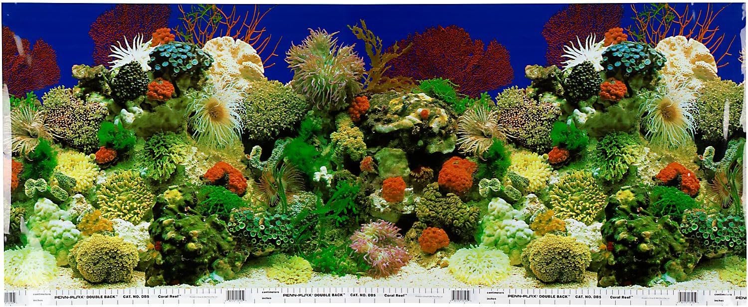 petco aquatic plants