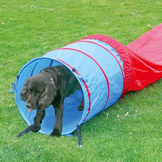 agility training tunnel for dogs