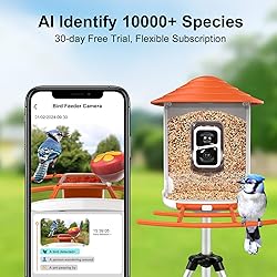 birdsnap® TUC- Bird Feeder with Camera 2K Live