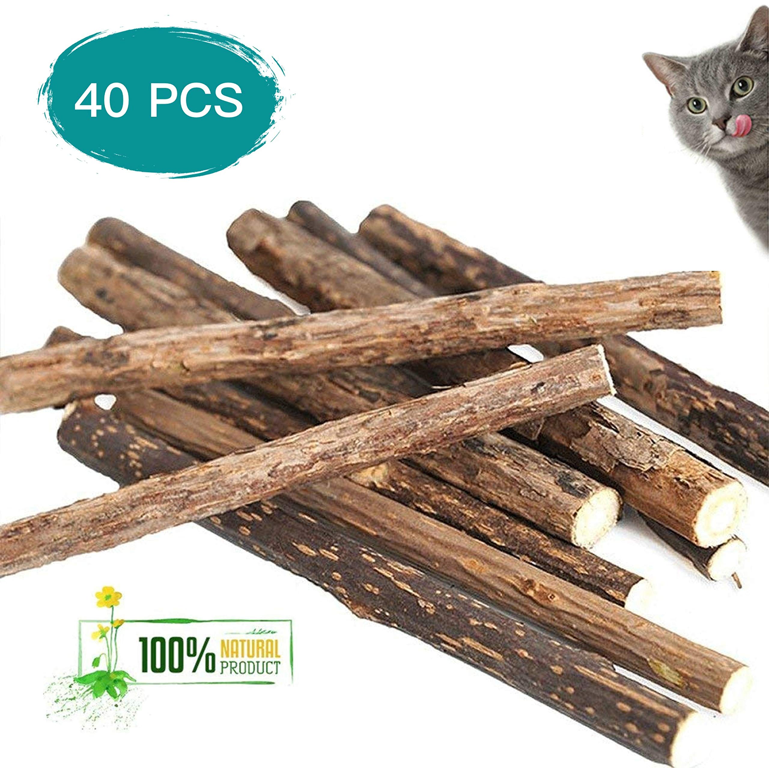 Catnip Sticks 40 PCS Organic Cat Catnip Toys Natural Plant Matatabi