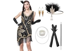 RESIWAI Flapper Dresses 1920s Flapper Costume for Women Roaring 20s Costumes V Neck Sequin Beaded Dress with Accessories