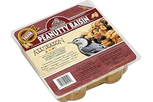 Heath Outdoor Products DD-12 Peanutty Raisin Suet Cake, 11.5 oz, Case Of 12 , Brown