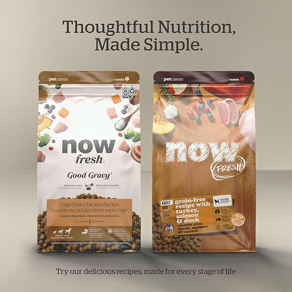 NOW FRESH GRAIN-FREE SMALL BREED DRY PUPPY FOOD WITH TURKEY, SALMON & DUCK, HEALTHY KIBBLE FOR GROWING DOGS WITH REAL POULTRY & FISH, CHICKEN-FREE, PUMPKIN & PROBIOTICS FOR GOOD DIGESTION, 3.5 LB BAG
