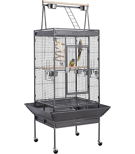 洋楽 CAGE Amazon.com : A&E Cage 782217 Black Open Victorian Top with