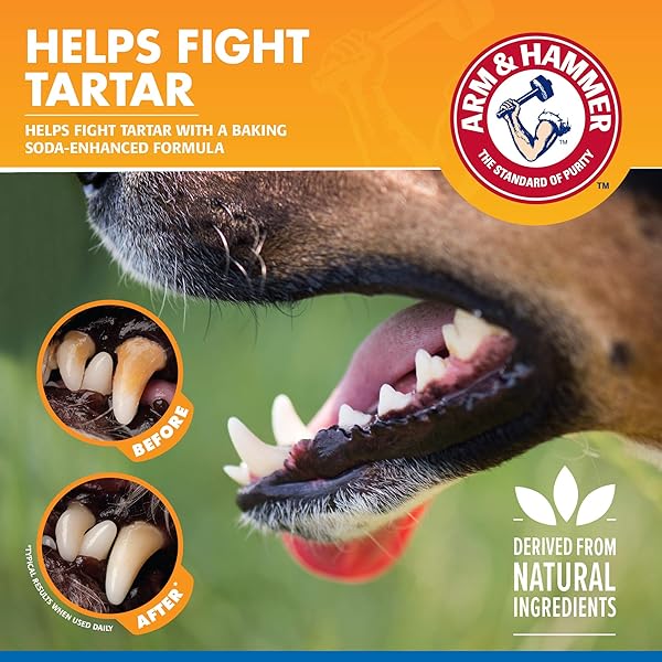 ARM & HAMMER TARTAR CONTROL DENTAL SPRAY FOR DOGS, MINT FLAVOR BREATH FRESHENER, BRUSHLESS TEETH CLEANING ORAL CARE WITH BAKING SODA, HELPS REDUCE PLAQUE AND TARTAR BUILDUP, 4 FL OZ