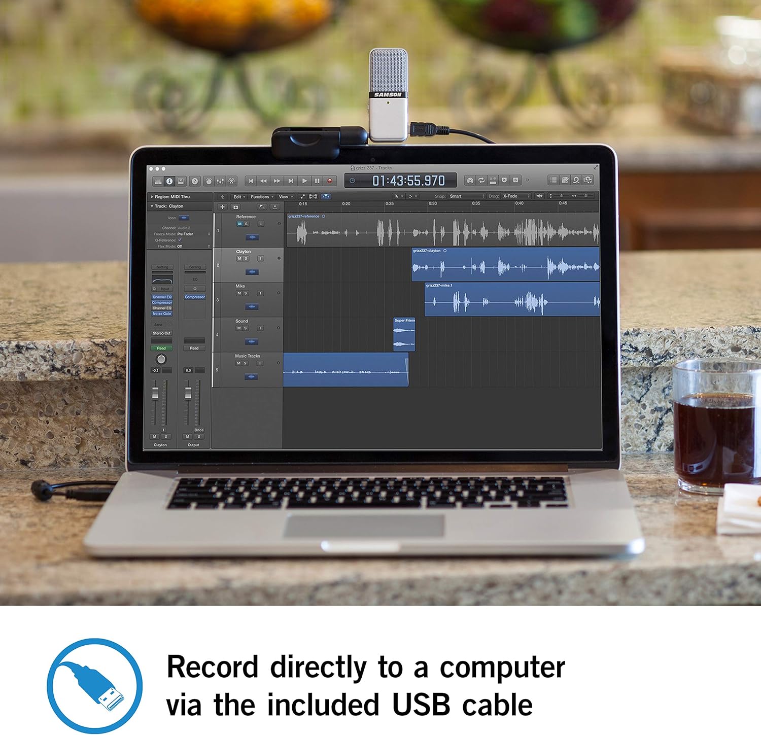 Samson Go Mic Portable USB Condenser Microphone for Recording and Streaming on Computers (SAGOMIC): Samson Audio: Musical Instruments