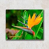 Custom HD Metal Photo Print, Add Your Pictures to Thick 1.15mm Aluminum Panel, Vibrant 3D Effect, Size and Display Options (10" x 12" Landscape, Single)