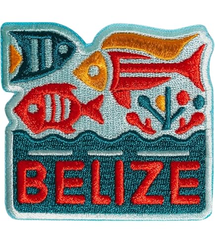 DIVVE MEXICO - TOPPA RICAMATA BANDIERA SUBACQUEA LOGO IRON-ON - Foto 8