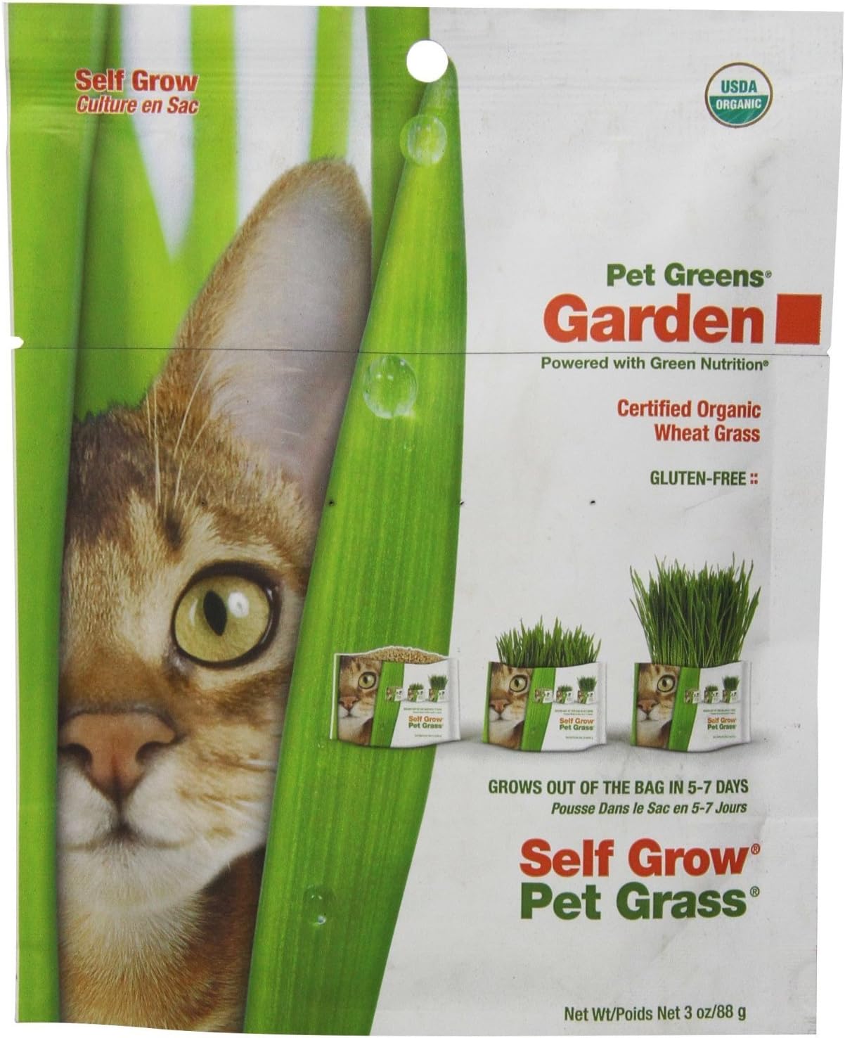 Pet Greens Garden Wheat Grass Self-Grow Kit(2Pack)