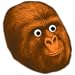 OverRustle.com Stream Viewer