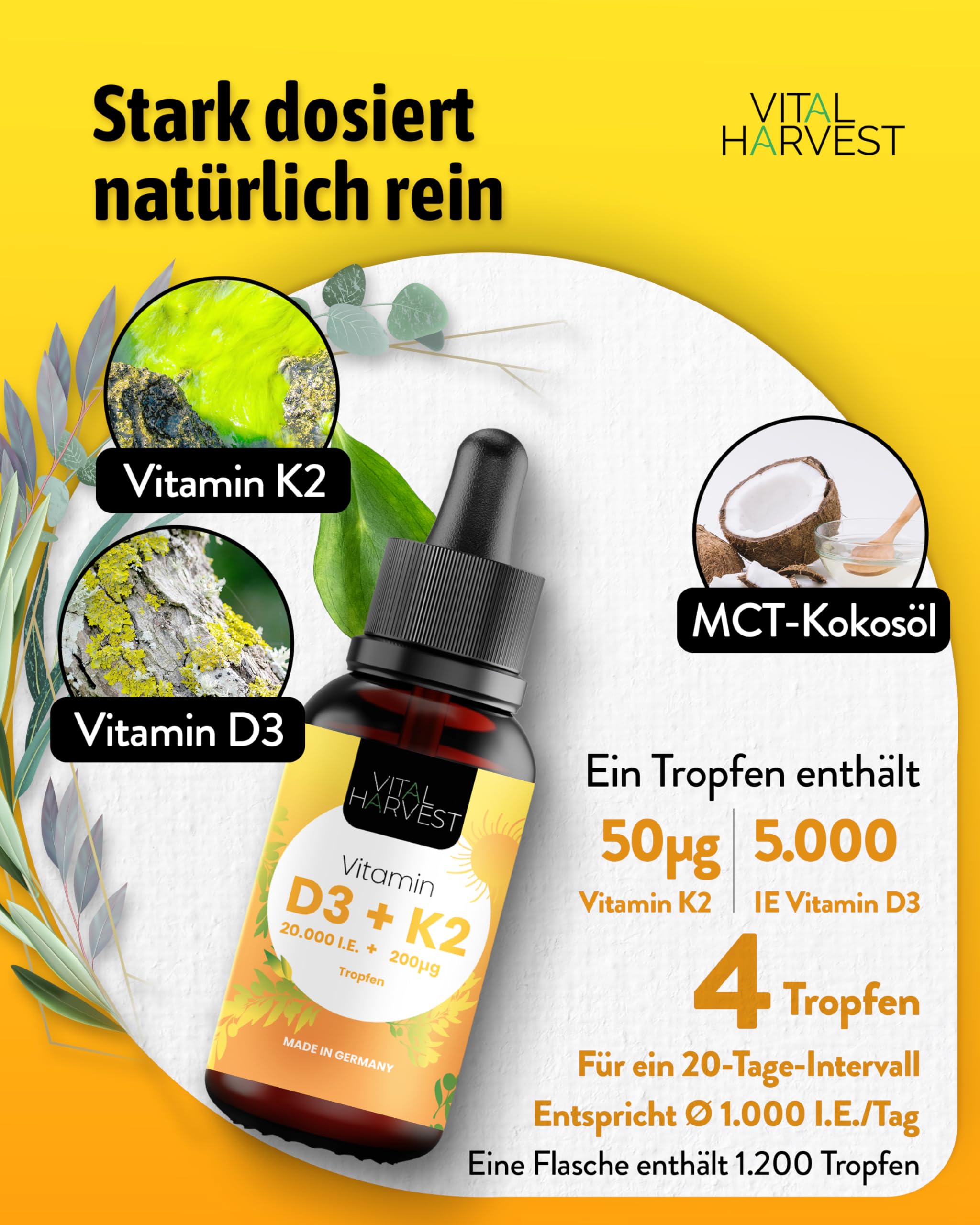 Vital Harvest® Premium Vitamin D3 K2 Tropfen 5.000 IE 30ml | Depot mit D3 & K2 MK-7 | Veganes Vitamin D3 + Vitamin K2 MK7, laborgeprüft in Deutschland hergestellt - ohne Zusatzstoffe (30ml) 3