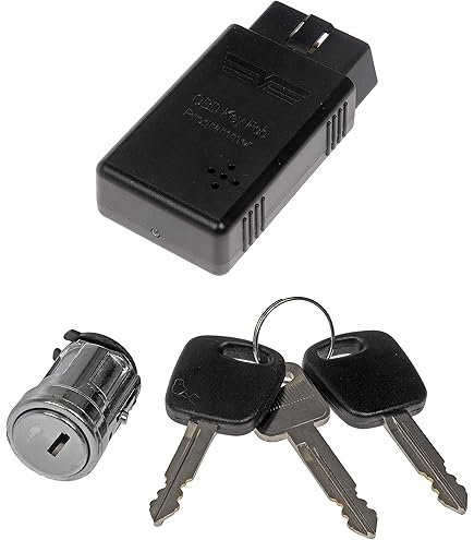 Amazon.com: Dorman 989-711 Ignition Lock Cylinder Kit with