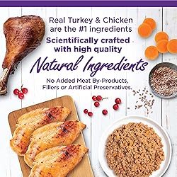 Wellness Complete Health Chicken & Turkey Pate