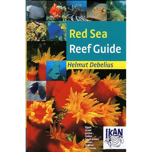RED SEA DIVER'S GUIDE BOOK│紅海ガイドブック Coral Reef Guide Red Sea: The complete Red Sea marine life guide