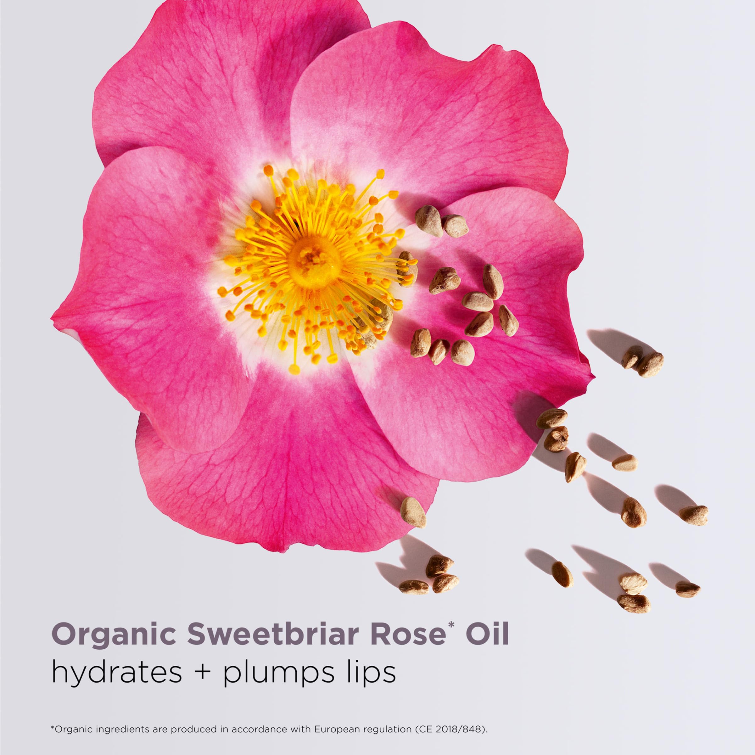 Clarins Lip Comfort Oil | Hydrating, Nourishing and Moisturizing Lip Oil | Sheer, High Shine Finish | Soothes, Comforts and Protects Lips | Visibly Plumps | 93% Natural Ingredients | 0.2 Ounces