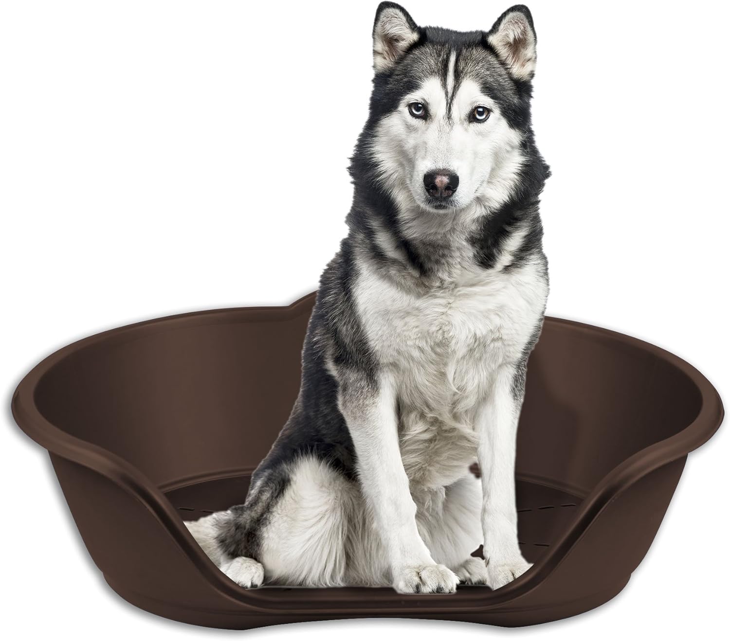 dog basket cushions