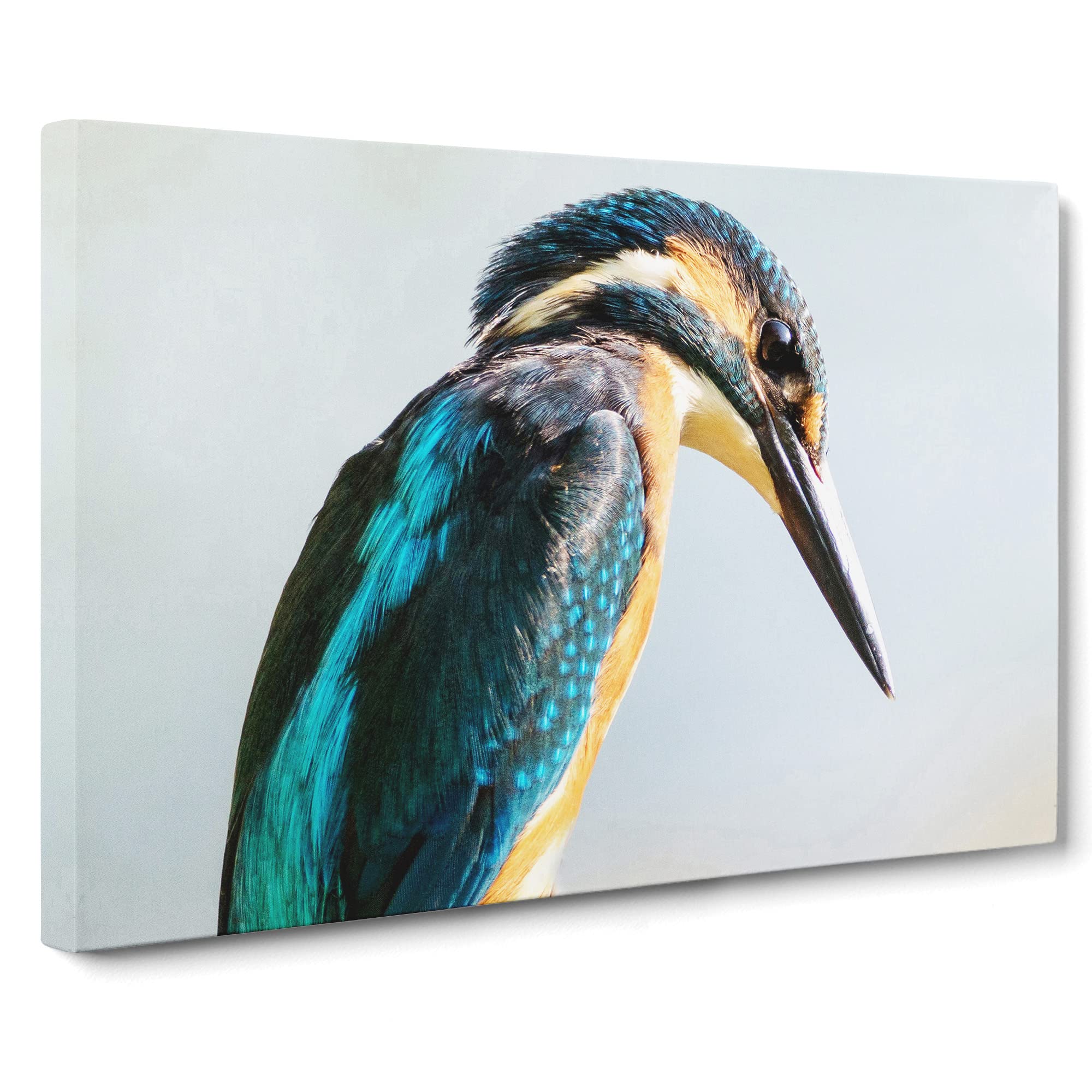 Kingfisher Bird Vol.2 Canvas Print | Gallery Wrapped 30mm Frame Wall Art | 20x14 inches | Ready to Hang | Modern Animals Picture | Living Room Bedroom Lounge Office