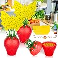 amazon-fruit-fly-trap-for-indoors-2024-upgrade-fruit-flies-gnat