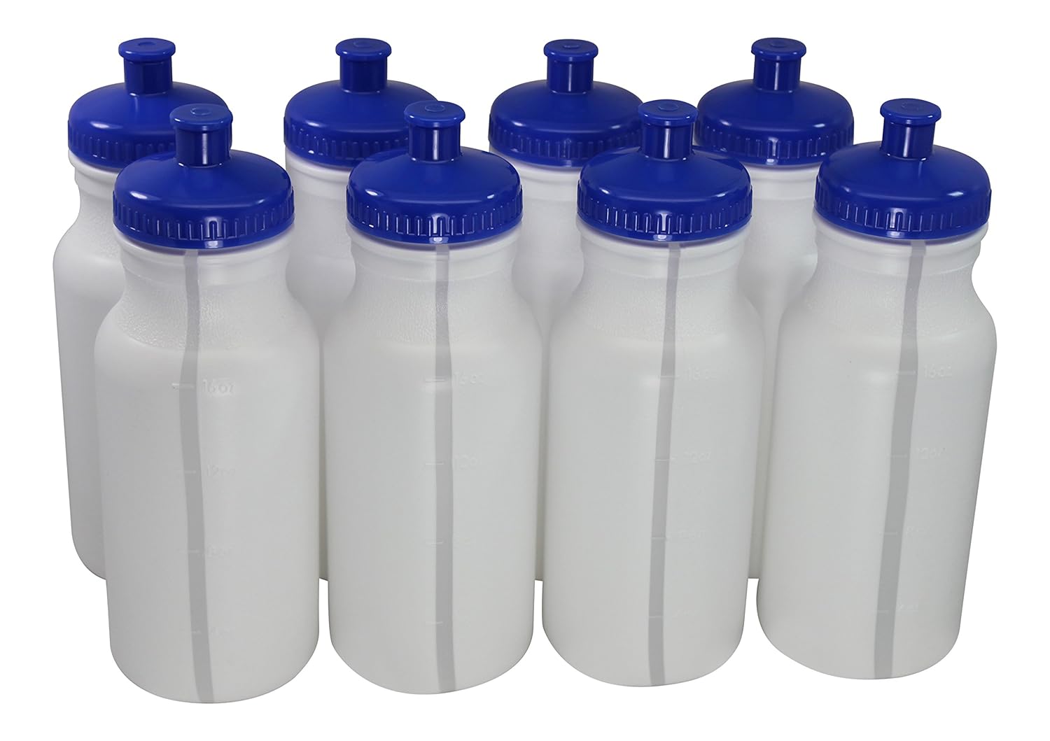 The 10 Best Ninja Water Bottle