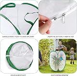 TSLBW Insect Butterfly Habitat Cage Large 40x40x60cm Collapsible Pop-Up view 3