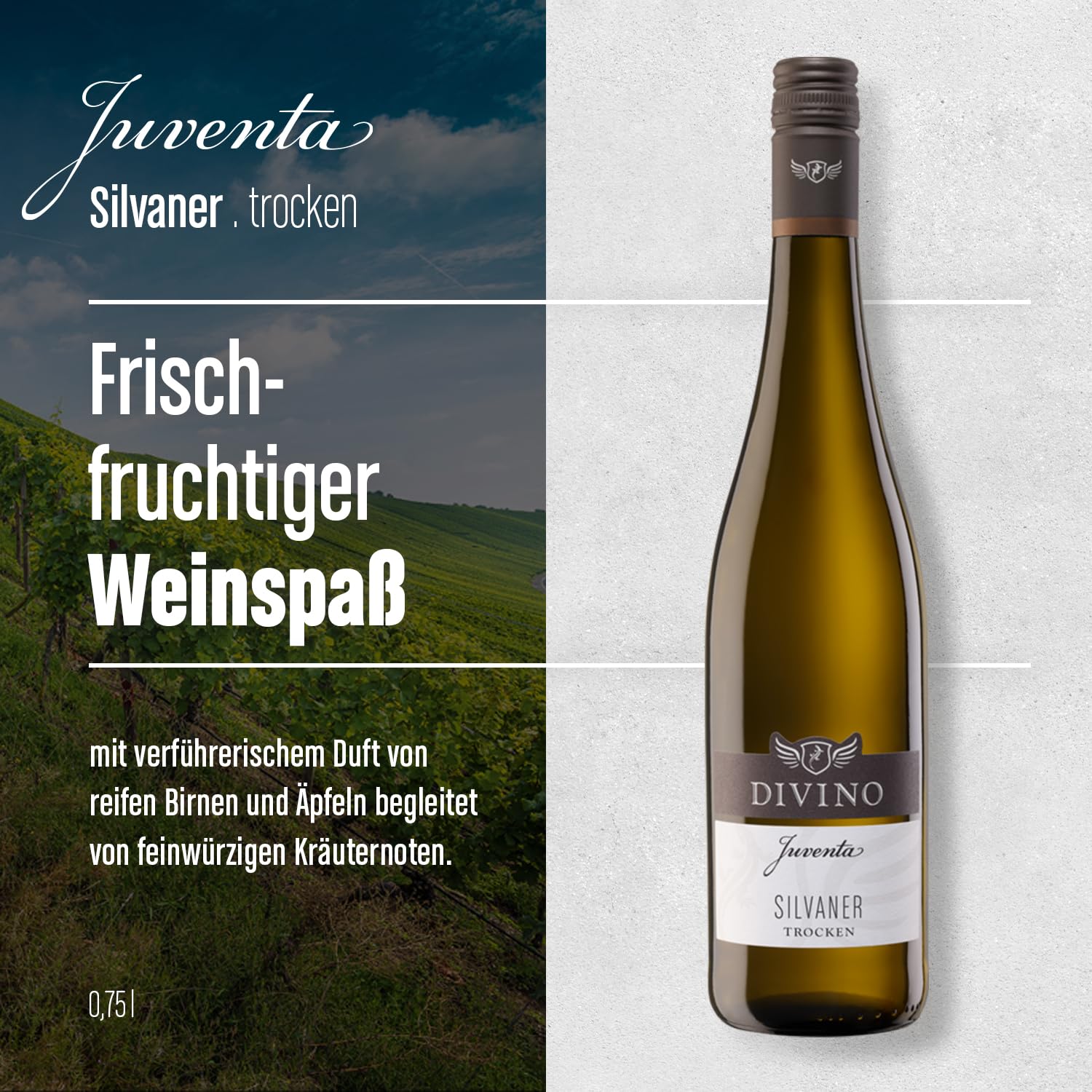 DIVINO Juventa Frankenwein Probierpaket - Silvaner, Grauer Burgunder, Scheurebe, Rotling, Merlot, Cuvée - Qualitätsweine direkt aus den Weinbergen Frankens (6 x 0,75l) 2
