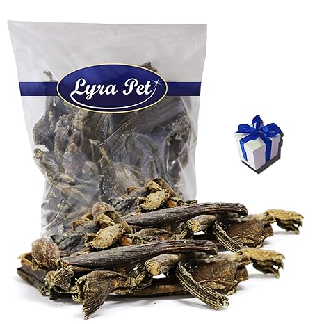 Lyra Pet® 5 kg Rinderpansen 5000 g getrocknet Hundefutter Kausnack + Geschenk
