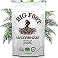 Big Foot Mycorrhizal Fungi Granular for Transplants - for All Plants - Easy to Use Root Stimulator - Treats 240 Plants (60K mycorrhizal Spores) - Double Your Plant Size - 2 Pounds