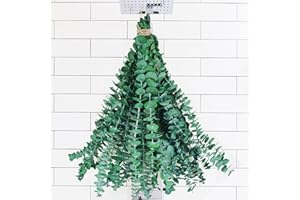 Preserved-Dried-Eucalyptus-Branches,17" Pure Natural Fresh Eucalyptus Plant for Shower, Real Flower Bunch for Vase Filler (Gr