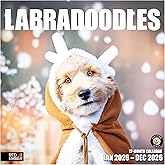 RED EMBER Labradoodles 2026 Wall Calendar 12 Month | 12" x 24" Open | Thick & Sturdy Paper | Holiday Gift | Cute Labrador Retriever Poodle Puppy Dog Calendar 2026