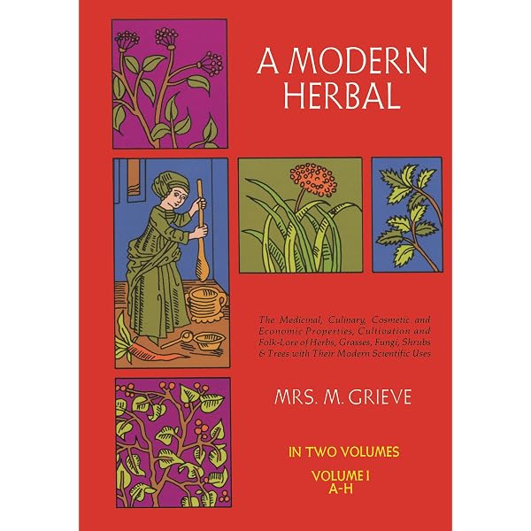 The Herbal Handbook: A User's Guide to Medical Herbalism eBook