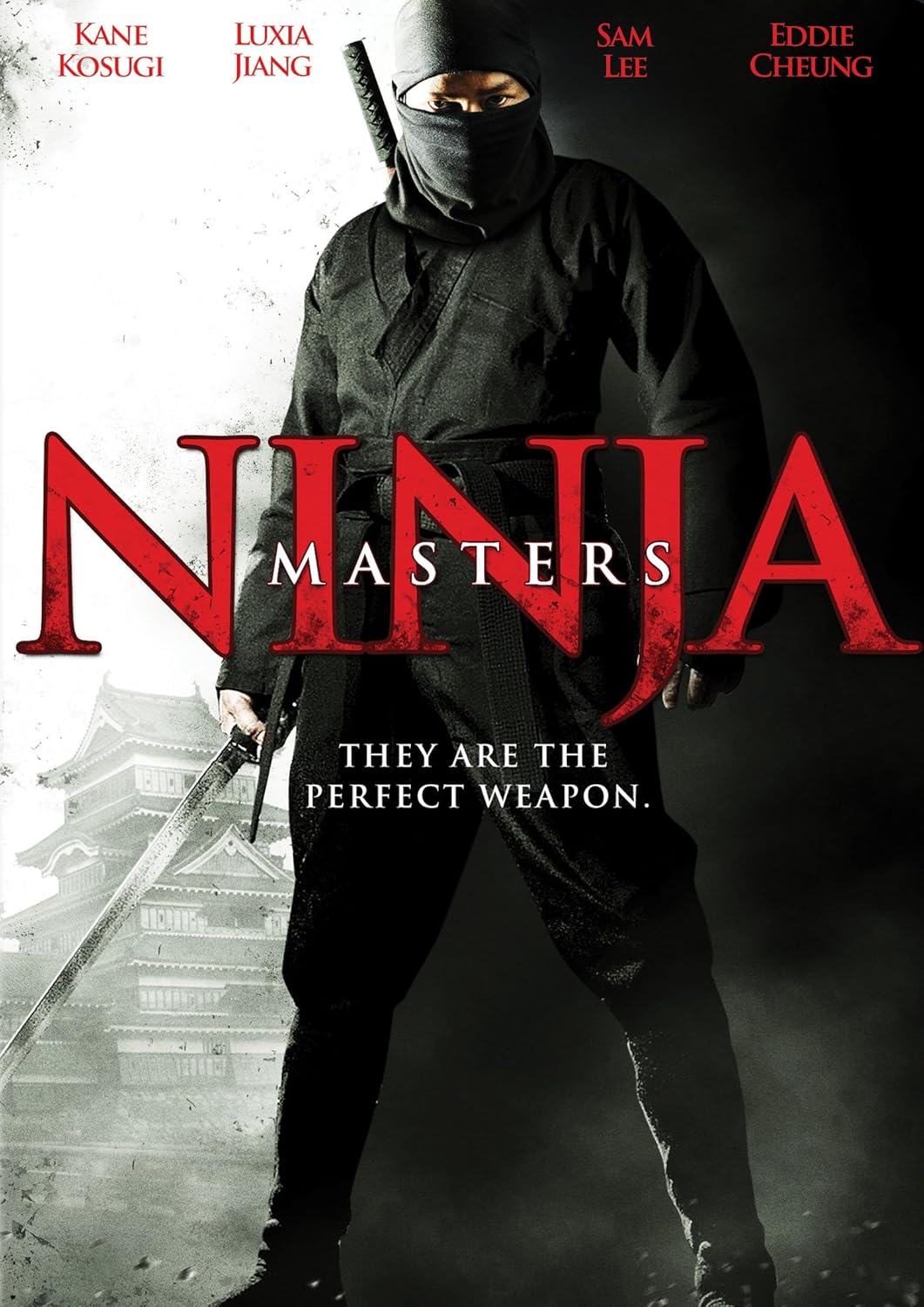 Ninja Masters [Reino Unido] [DVD]: Amazon.es: Cine y Series TV