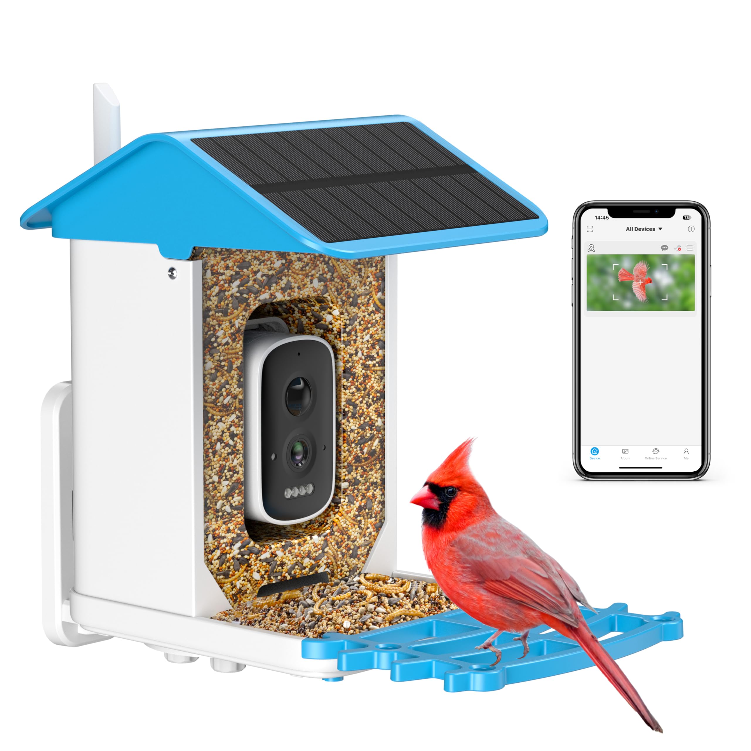 Smart Bird Feeder with Camera 2K HD AI Identify Bird Species Auto Capture