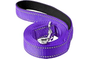 Erbine 6ft Dog Leash for Small Medium Large Dogs | One-Sided Reflective Nylon | Padded Handle | 3/4 inch Wide | Purple